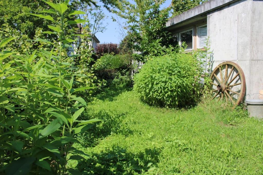 אוברלינגן Erholung Mit Seesicht, Terrasse Und Garten מראה חיצוני תמונה